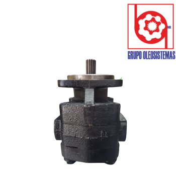 BOMBA ENGRANES COMERCIAL PGP020A342MEAB17-25