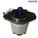 BOMBA DE ENGRANES SANDVIK (77009699)