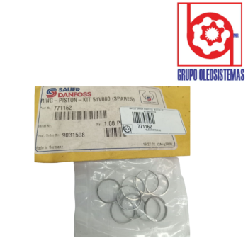 ANILLO SAUER DANFOSS MOTOR 51 PISTON (9 PZ)