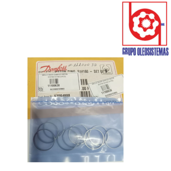 ANILLO SAUER DANFOSS MOTOR 51V160 51/160 (9 PZS)