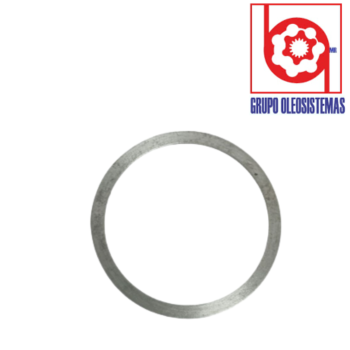 ARANDELA CAT 12G PISTONES