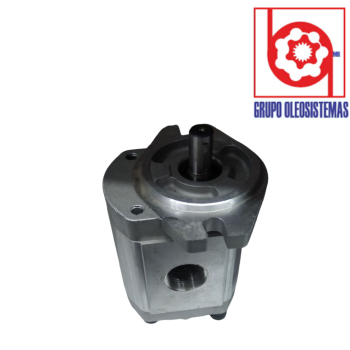 BOMBA DE ENGRANES UNCANNY P2-25LN01G