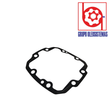 EMPAQUE REXROTH SERIE A15VS0175/A11VLO175 GASKET