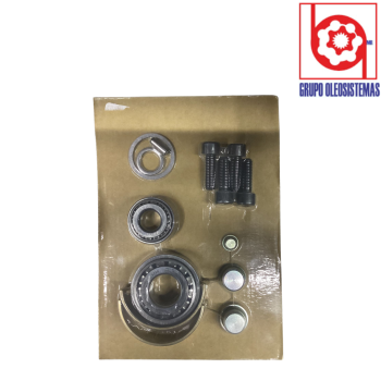 JUEGO DE BALEROS REXROTH A10VO28/31