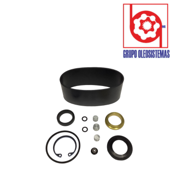 KIT DE SELLOS DIRECCION ORBITROL TRW (HGA)