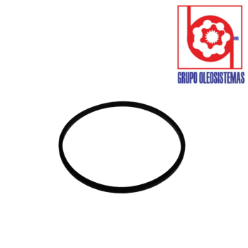 EMPAQUE DIRECCION ORBITROL TRW (HGA)