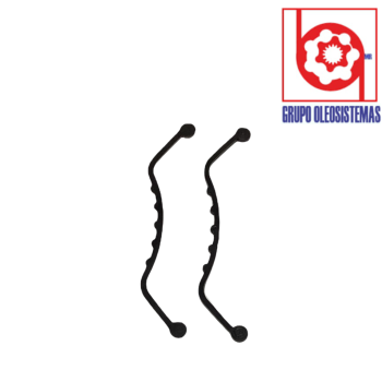 EMPAQUE DENISON P6 Y P7 LATERAL SWASH PLATE (2pz)