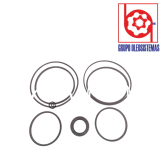 KIT DE SELLOS DENISON T6CC S1