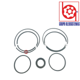KIT DE SELLOS DENISON T6CCP S1