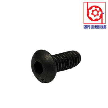 TORNILLO DENISON P6P SET 2PZ