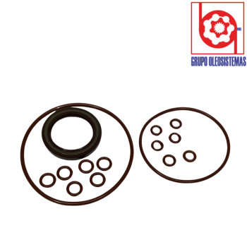 KIT DE SELLOS A2FM056 MOTOR