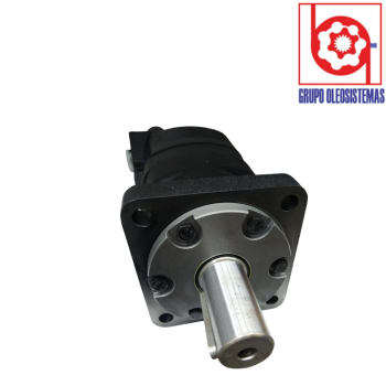 MOTOR GEROTOR SERIE 6000 315 CCM LIZA