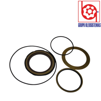 KIT DE SELLOS MOTOR SERIES 6000 FRONTAL