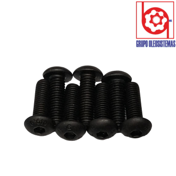TORNILLOS MOTOR A2FM0 PORTA PISTON56 (7PZ)