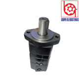MOTOR GEROTOR SERIES 2000 (125CM3/REV) FLECHA LIZA