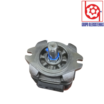 BOMBA DE ENGRANES SUNNY CP1-25-P- 10R EXTERNO