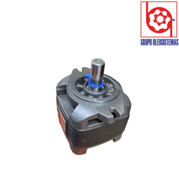 BOMBA DE ENGRANES SUNNY CP1-25-P- 10R EXTERNO