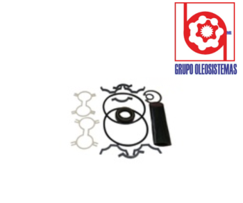 KIT DE SELLOS PARKER PGM511 MOTOR