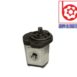 MOTOR DE ENGRANES MARZOCHI GHM2AR40E2