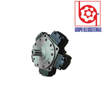 MOTOR RADIAL CALZONI MR300D-N1N1N1N1N0700/66391