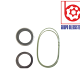 EMPAQUE SAUER DANFOSS MOTOR 51/060 PISTONES FLECHA