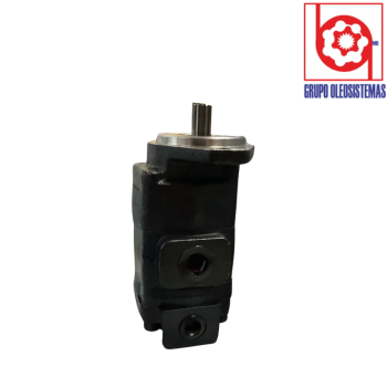 BOMBA DE ENGRANES COMERCIAL P-315  P315B196PZAB12-65**AB05-