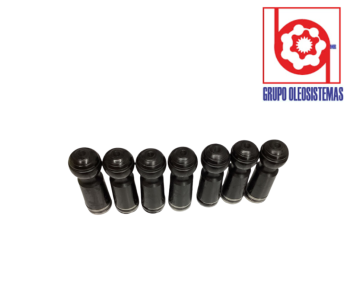 JUEGO DE PISTONES A6VM160/6.3 CON ANILLOS