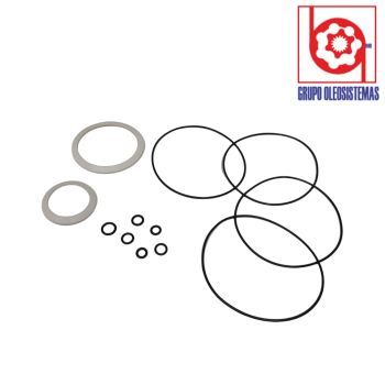 KIT DE SELLOS TRASERO CHARLYNN SERIE 6000