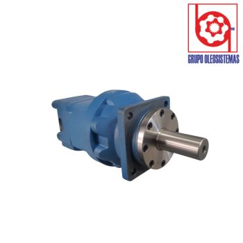 MOTO REDUCTOR GEROTOR EVERGRIM (RQ150-0245)