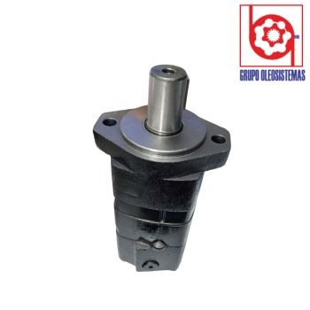 MOTOR GEROTOR EVERGRIM (RQ124-0689)