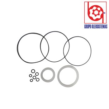 KIT DE SELLOS TRASERO CHARLYNN SERIE 6000