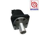 MOTOR GEROTOR SERIE 6000 315 CCM LIZA MANIFOLD