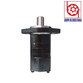 MOTOR GEROTOR (BM5125E2BFSUB) SERIE 2000 SAE B LIZA
