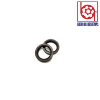 RETEN MILIMETRICO DE VITON SCWING (58010614)