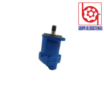 MOTOR INTERNACIONAL FLECHA LISA